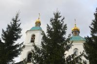 В Омске подешевели макароны и мука, но подорожало мясо