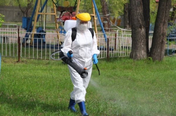 Омский парк «Зелёный остров» обработали от клещей