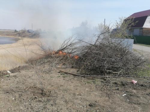 Массовый замор рыбы на озере Калач. Чья «заслуга»?