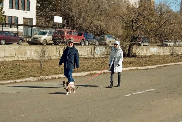 Омск на всеобщей самоизоляции: весна vs коронавирус 