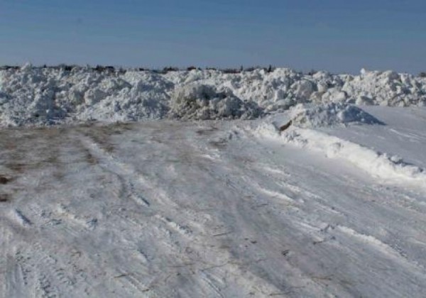Массовый замор рыбы на озере Калач. Чья «заслуга»?