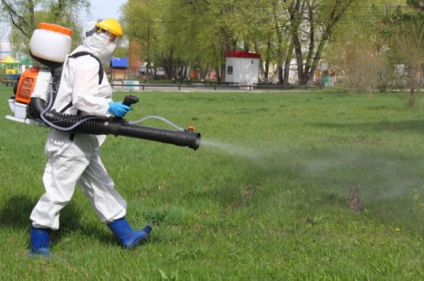 Омский парк «Зелёный остров» обработали от клещей