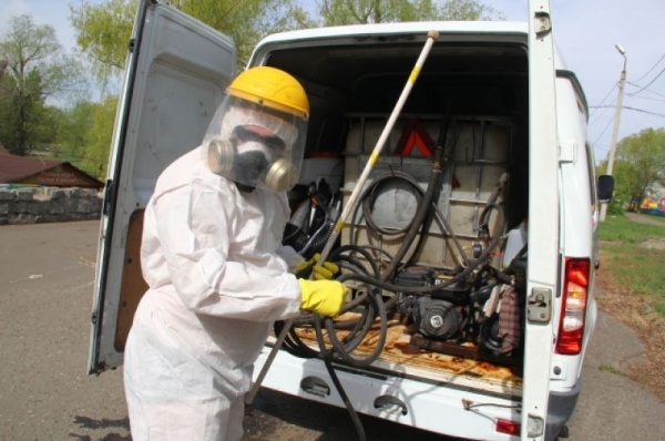 Омский парк «Зелёный остров» обработали от клещей