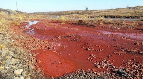 Неделя в Сибири: красная река, самое большое в стране изображение Будды и барнаулец, останавливающий автомобили взглядом Неделя в Сибири: красная река, самое большое в стране изображение Будды и барнаулец, останавливающий автомобили взглядом