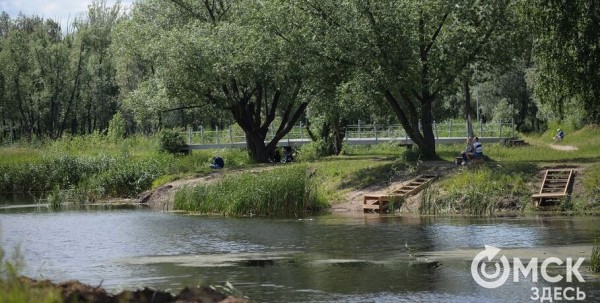 Омичам запретили ходить в лес под угрозой штрафов Омичам запретили ходить в лес под угрозой штрафов