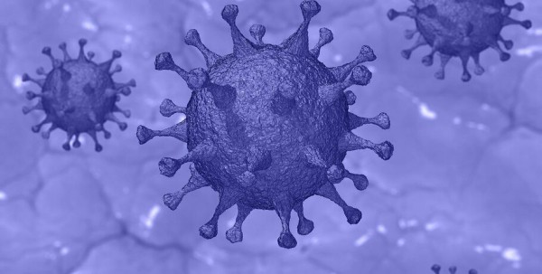 В Омской области возросло число заразившихся коронавирусом