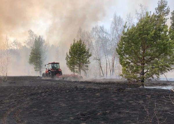 В период самоизоляции омичи сожгли десятки гектаров леса
