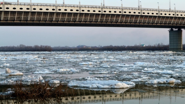 Самоизоляция под ударом: омичи снова толпами вышли на улицу, несмотря на запрет 