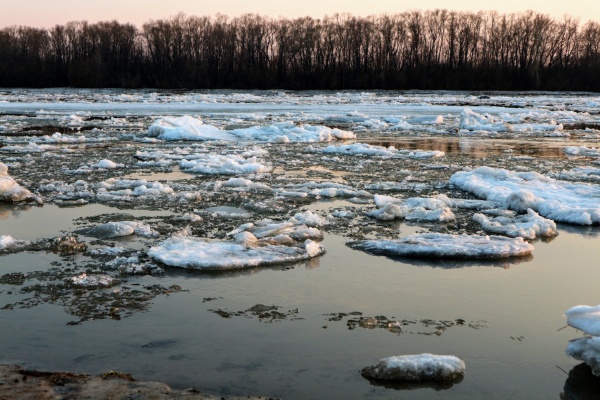 Самоизоляция под ударом: омичи снова толпами вышли на улицу, несмотря на запрет 