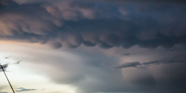"Деревом чуть женщину не прибило". Последствия урагана в Омске