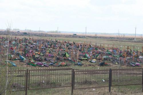 Омич не пройдет: самоизоляция VS родительский день