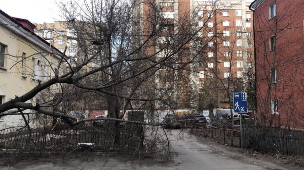 Из-за урагана и самоизоляции омские мусорщики работают дотемна