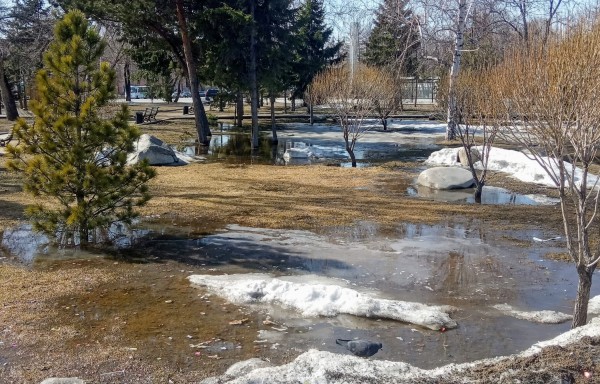 Омск на всеобщей самоизоляции: весна vs коронавирус 