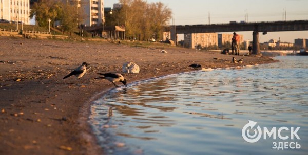 После почти 30-градусной жары в Омск вернётся весенняя прохлада