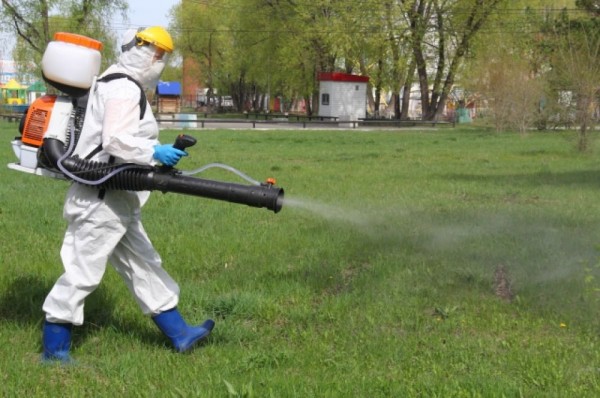Борьба с клещами. В парке «Зелёный остров» прошла акарицидная обработка Борьба с клещами. В парке «Зелёный остров» прошла акарицидная обработка