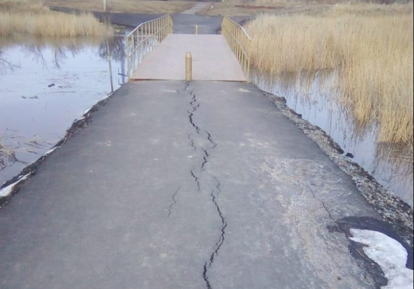 Массовый замор рыбы на озере Калач. Чья «заслуга»?