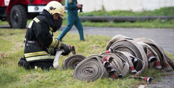 В период самоизоляции омичи сожгли десятки гектаров леса