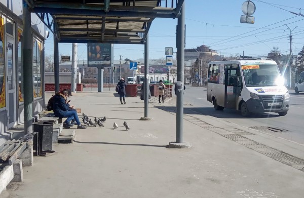 Омск на всеобщей самоизоляции: весна vs коронавирус 