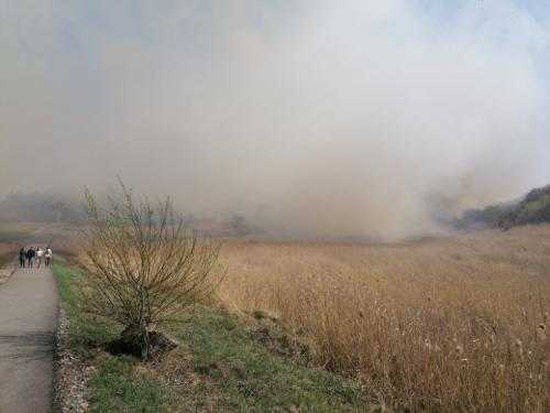 Массовый замор рыбы на озере Калач. Чья «заслуга»?