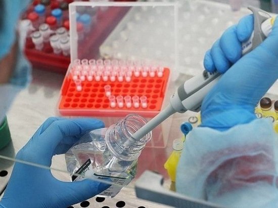 В Омске подтверждено 14 случаев коронавируса В Омске подтверждено 14 случаев коронавируса