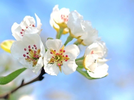 Прояснилось, как омичи будут отдыхать на майских праздниках