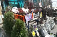 После праздников 70 омичей получат штрафы за нарушение изоляции После праздников 70 омичей получат штрафы за нарушение изоляции