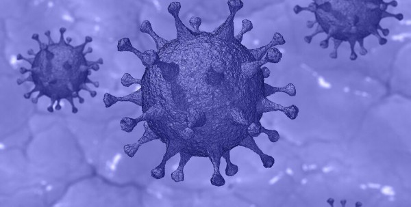 Около 2 тысяч омичей ежедневно сдают тесты на коронавирус Около 2 тысяч омичей ежедневно сдают тесты на коронавирус