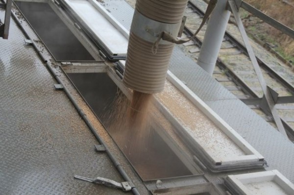 Погрузка зерна в Омском регионе ЗСЖД в апреле выросла более чем на треть