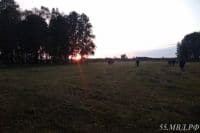 В Омске проходит конкурс, приуроченный ко Дню пропавших детей