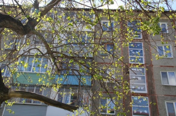 «Окна Победы» распахнулись. Смотрим, как омичи украсили дома к 9 мая