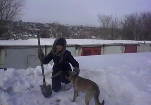 Произошло невероятно жестокое убийство щенка в Омске