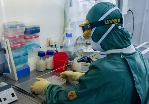 Коронавирус: актуальные хроники — 8 мая