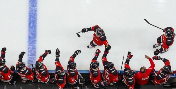 Фарм-клубом омского "Авангарда" стала "Кузня"