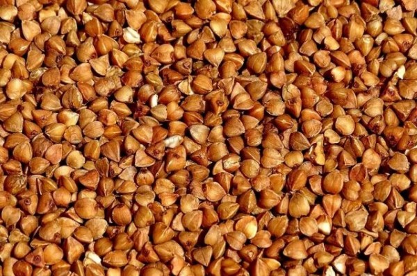 Повышение цен на гречку в Омске могло произойти из-за сговора поставщиков