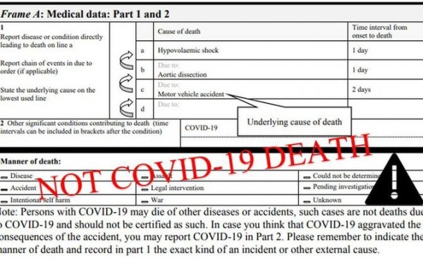Cмертельный счет: почему в России так мало умерших от СOVID-19