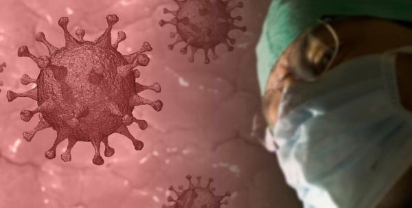 Никаких фейков. Новый информационный хаб соберёт проверенные данные о COVID-19