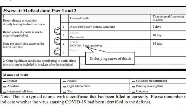 Cмертельный счет: почему в России так мало умерших от СOVID-19