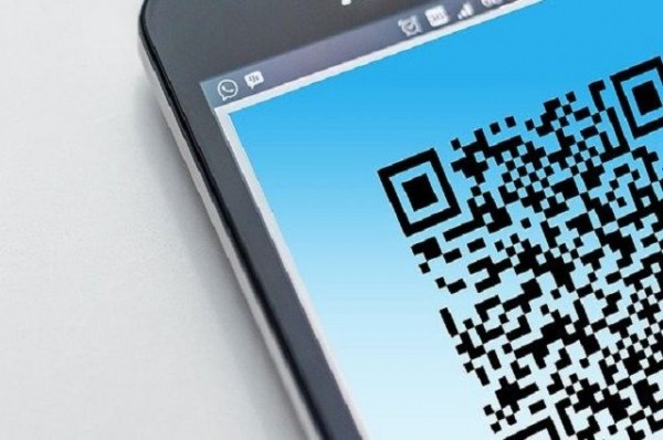 В Омском регионе могут ввести цифровые пропуска