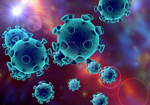 Коронавирус: актуальные хроники — 29 мая