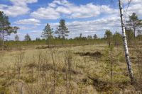 В Омской области ожидается режим чрезвычайной пожароопасности