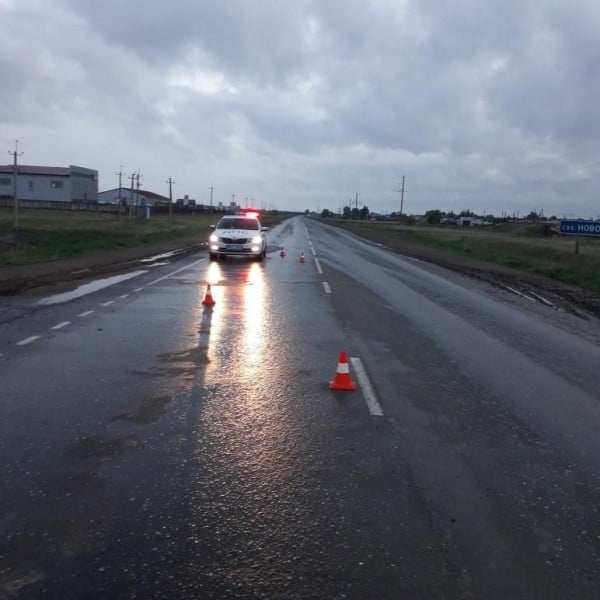 В Омской области под колёсами машины погиб человек