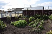 В соцсетях рассказали, как в Омске образуются стихийные свалки