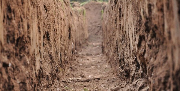 В Таре нашли захороненные в дереве 300-летние человеческие останки В Таре нашли захороненные в дереве 300-летние человеческие останки