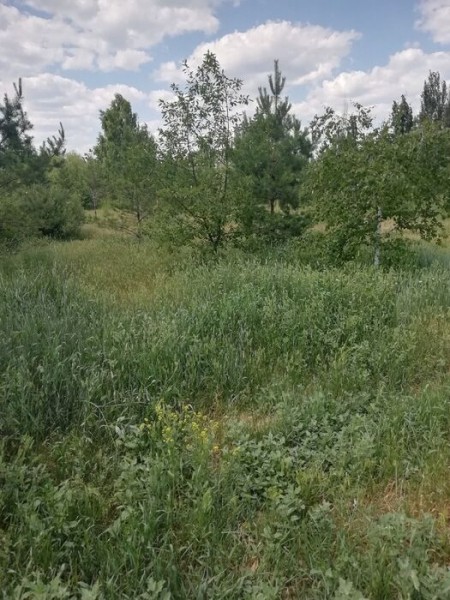 В омском сквере появится парковка для велосипедов В омском сквере появится парковка для велосипедов