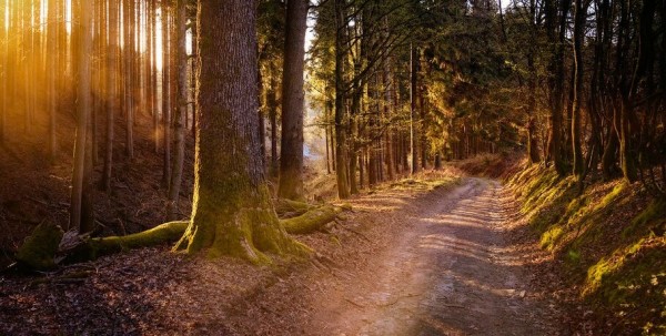 В Омской области ожидается потепление к выходным