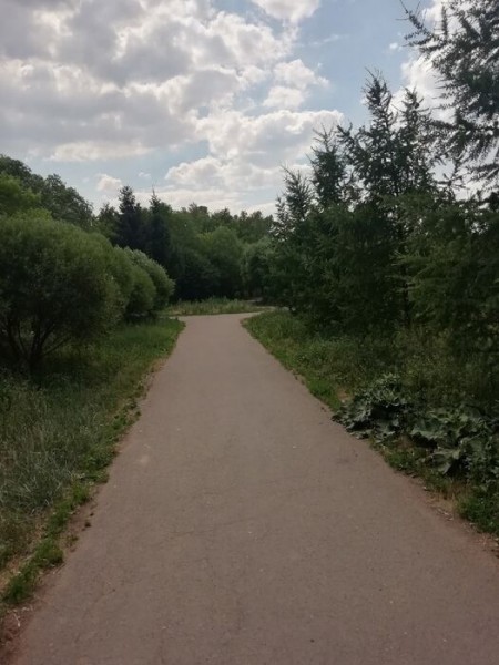 В омском сквере появится парковка для велосипедов В омском сквере появится парковка для велосипедов