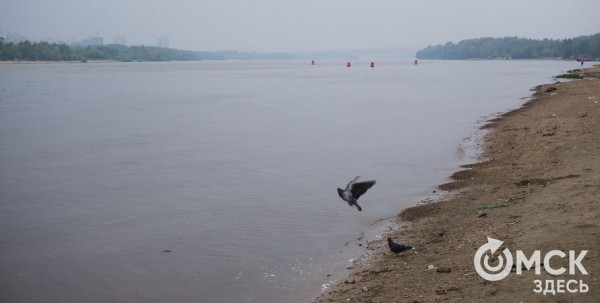 В Иртыше утонула 7-летняя девочка