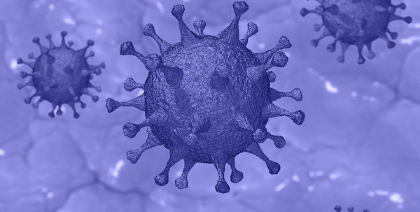 Большинство омичей заразились коронавирусом контактным путём