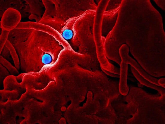 В Омской области уже почти 1200 выздоровевших