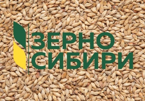 По результатам инициированной Бурковым проверки возбуждено уголовное дело по «Зерну Сибири» По результатам инициированной Бурковым проверки возбуждено уголовное дело по «Зерну Сибири»